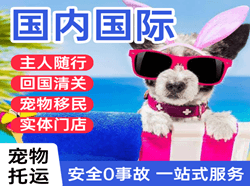 长白山机场托运国际宠物托运 【国